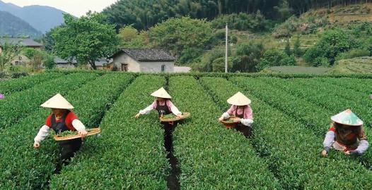 手机影像科技倾情呈现：五一劳动节你忙起来的样子真美