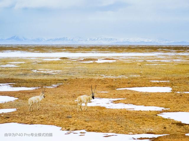 世界地球日：《中国国家地理》用华为P40 Pro拍了一部科考纪录片