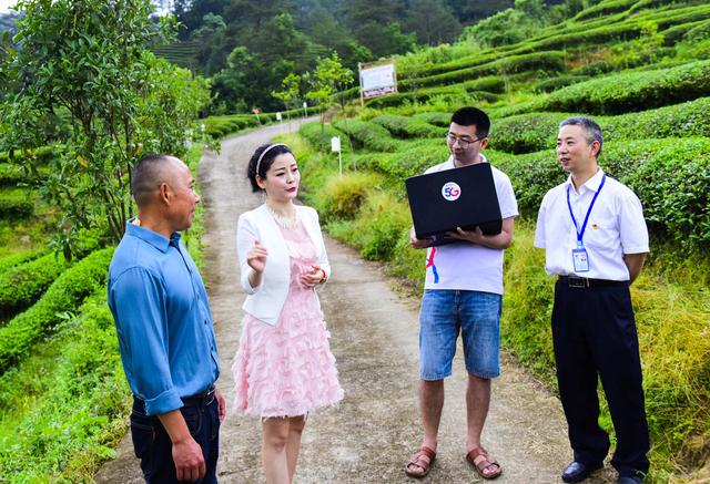 福建武夷山首秀“5G云赏茶”,中国电信智慧生态茶园添亮色