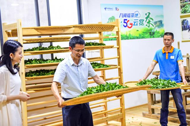 福建武夷山首秀“5G云赏茶”,中国电信智慧生态茶园添亮色