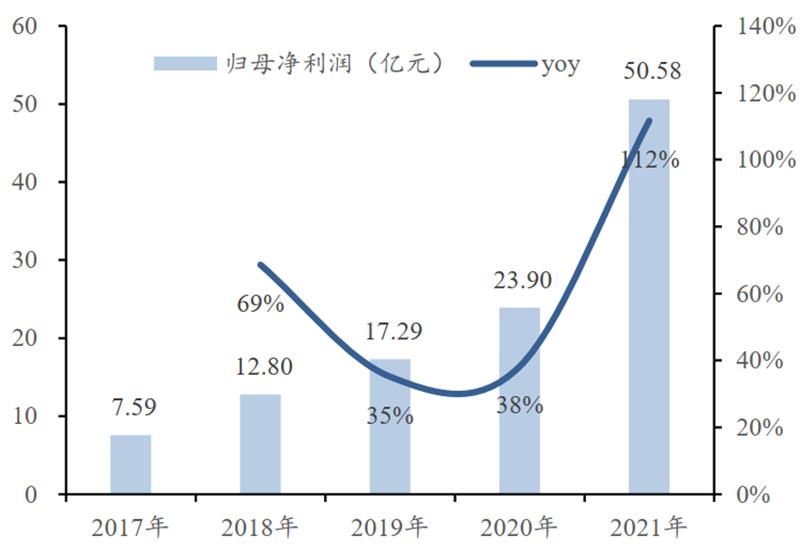 存储&计算芯片2021年报总结，存储国产化更强，芯片获五年最高增速