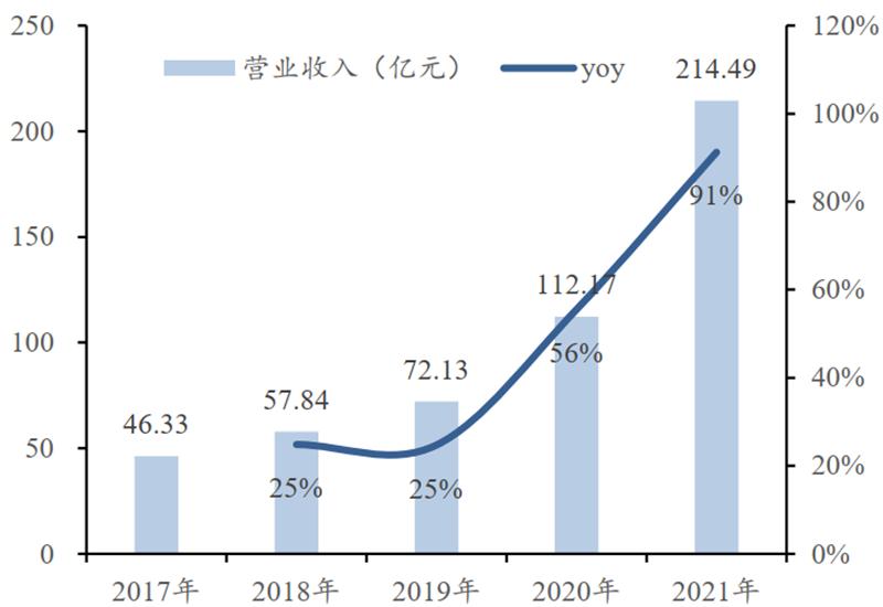 存储&计算芯片2021年报总结，存储国产化更强，芯片获五年最高增速