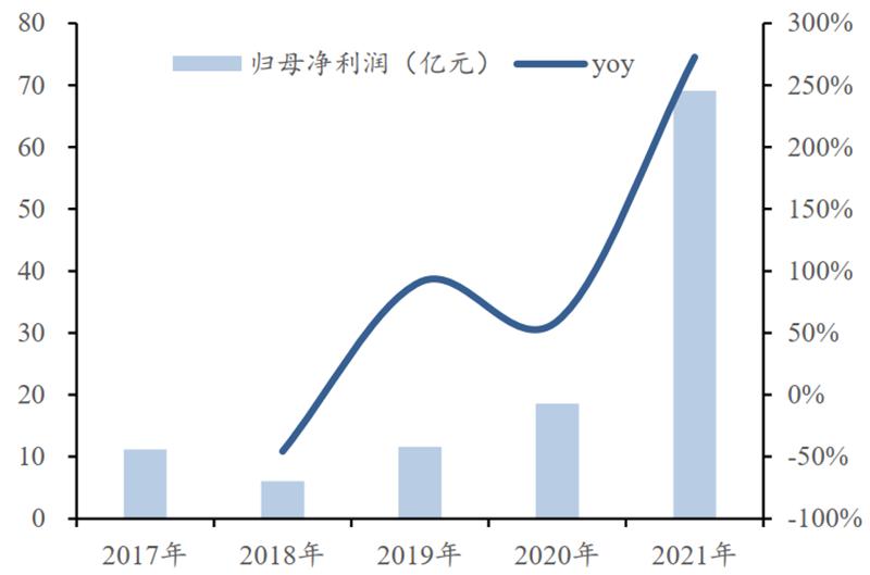 存储&计算芯片2021年报总结，存储国产化更强，芯片获五年最高增速