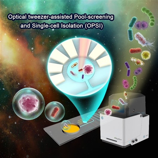 AI系统加持！星赛生物升级EasySort单细胞微液滴分选系列产品 