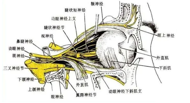 辽宁杏林整形双眼皮，关于你想要的都在这里