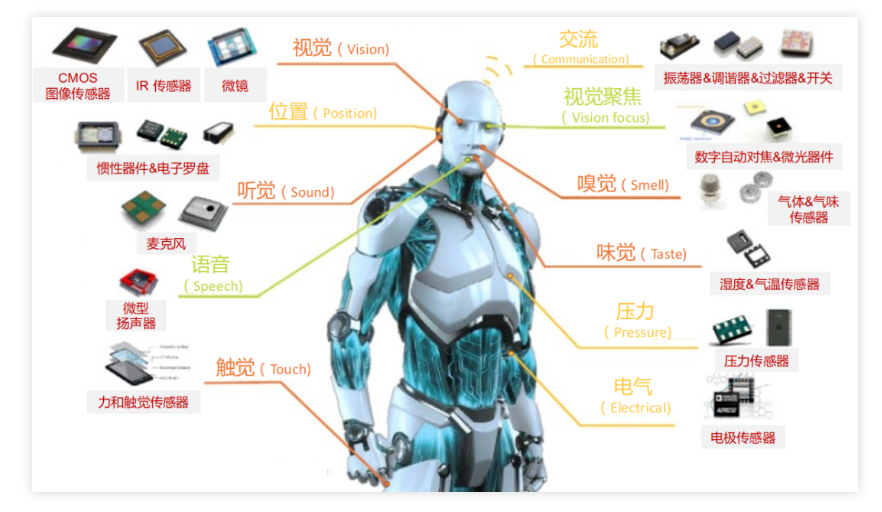 人形机器人的崛起：从古老梦想到眼前现实